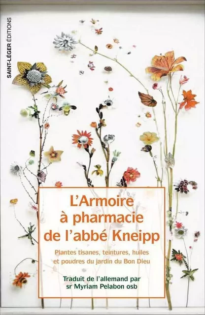 L’armoire à pharmacie de l’Abbé Kneipp -  - SAINT LEGER