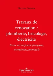 Travaux de rénovation : plomberie, bricolage, électricité