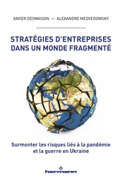 Stratégies d'entreprises dans un monde fragmenté