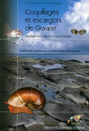 Coquillages et escargots de Guyane.