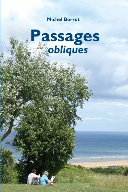 Passages obliques - de Marivaux à Mishima, de Colette à Borges - Michel BORRUT - DICTIONNAIRE