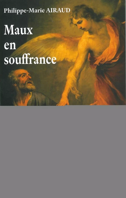 Maux en souffrance -  Abbé Marie Philippe Airaud - MARTIN MORIN