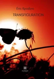 Transfiguration