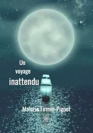 Un voyage inattendu