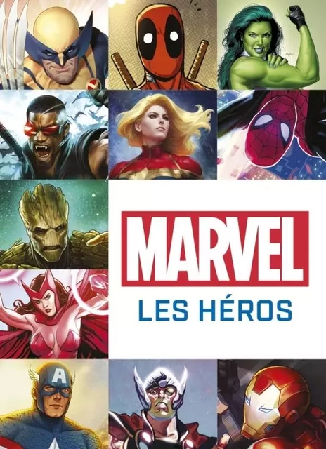 Marvel : les Héros -  Beatty Scott - HUGINN & MUNINN