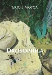 Drosophila