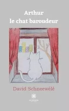 Arthur le chat baroudeur - David SCHNEEWÉLÉ - LE LYS BLEU