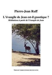 L'évangile de Jean est-il gnostique ? Méditations à partir de l'évangile de Jean