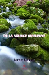 De la source au fleuve