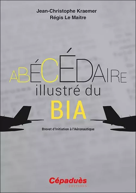 L'Abécédaire illustré du BIA - Jean-Christophe Kraemer, Régis Le Maitre - CEPADUES