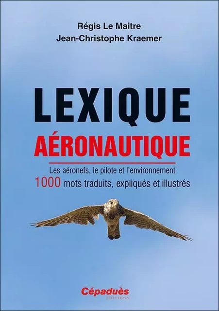 Lexique aéronautique - Régis Le Maitre, Jean-Christophe Kraemer - CEPADUES