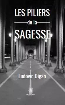 Les piliers de la sagesse - Ludovic Digan - LE LYS BLEU