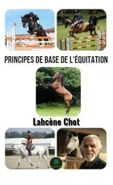 Principes de base de l'équitation