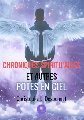 Chroniques spiritu’ailes et autres potes en ciel - Christophe Desbonnet - LE LYS BLEU