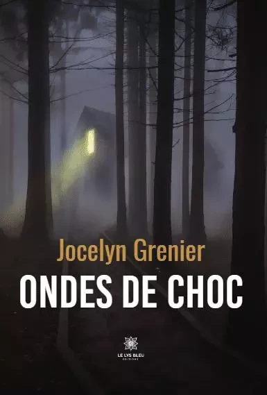 Ondes de choc - Jocelyn Grenier - LE LYS BLEU