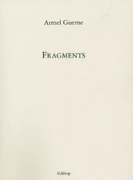 FRAGMENTS