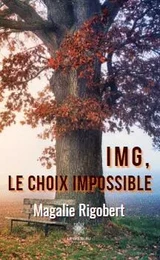 IMG, le choix impossible