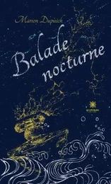 Balade nocturne