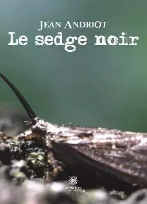 Le sedge noir - Jean Andriot - LE LYS BLEU