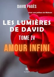 Les lumières de David - Tome IV: Amour infini