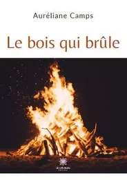 Le bois qui brûle