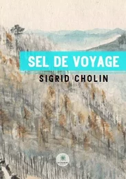 Sel de voyage