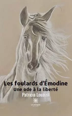 Les foulards d’Émodine - Une ode à la liberté - Patricia Louaizil - LE LYS BLEU