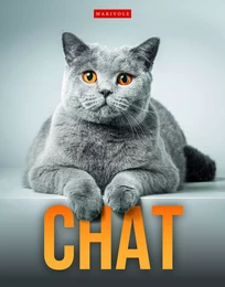 Chat