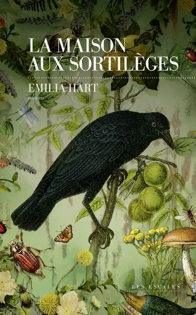 La maison aux sortilèges - Emilia Hart - edi8