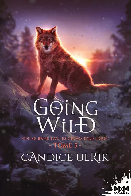  On ne brise pas les crocs d'un loup  - Candice Ulrik - MXM BOOKMARK