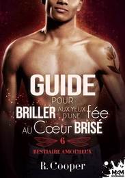 Guide pour briller aux yeux d'une fée au coeur brisé