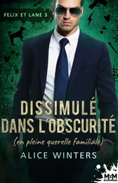 Dissimulé dans l'obscurité (en pleine querelle familiale)