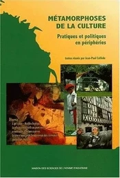 Métamorphoses de la culture - pratiques & politiques en périphéries