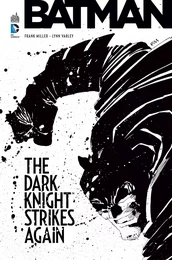 Batman : Dark Knight Strikes again - Tome 0