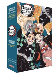 Demon Slayer - Coffret (T19 + Roman N°02)