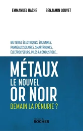 Métaux, le nouvel or noir