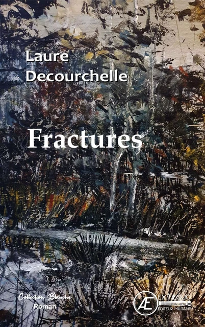 Fractures - nouvelles -  - EX AEQUO