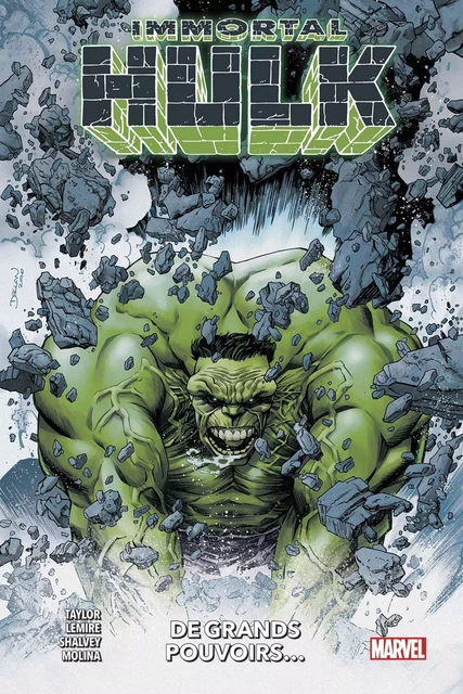 Immortal Hulk : À grands pouvoirs -  - PANINI