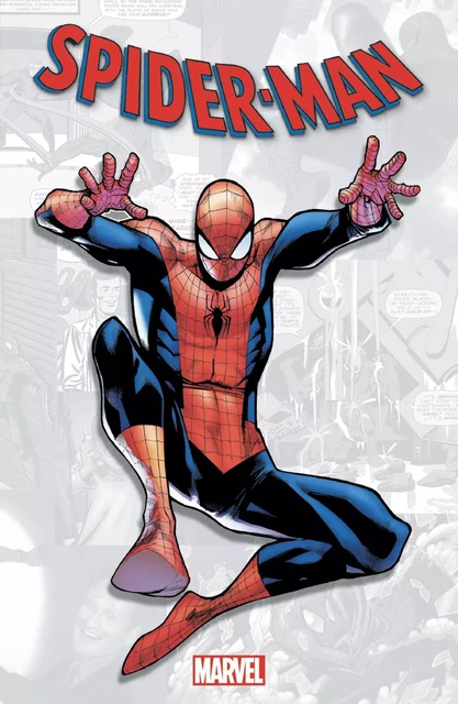 Marvel-Verse: Spider-Man -  Collectif - PANINI