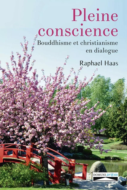 Pleine conscience - Raphaël Haas - DOMUNI