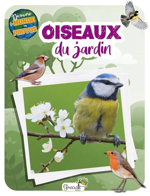 Les oiseaux du jardin -  Collectif - GRENOUILLE