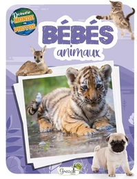 Les bébés animaux