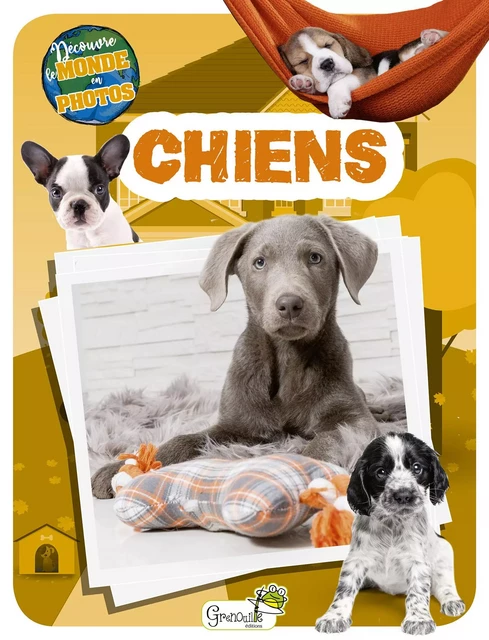 Chiens -  Collectif - GRENOUILLE