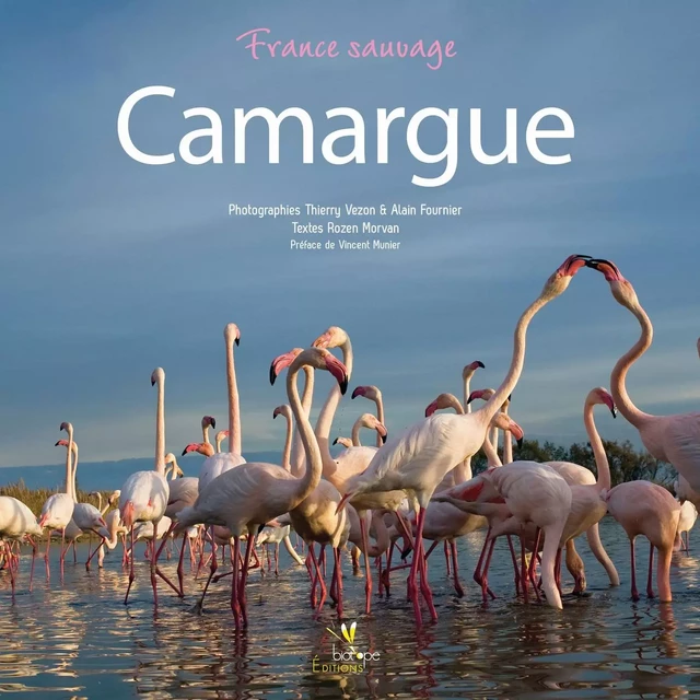 CAMARGUE -  MORVAN/VEZON/FO - BIOTOPE