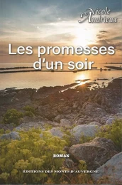 LES PROMESSES D'UN SOIR