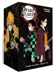 Coffret Demon Slayer T19 à T23