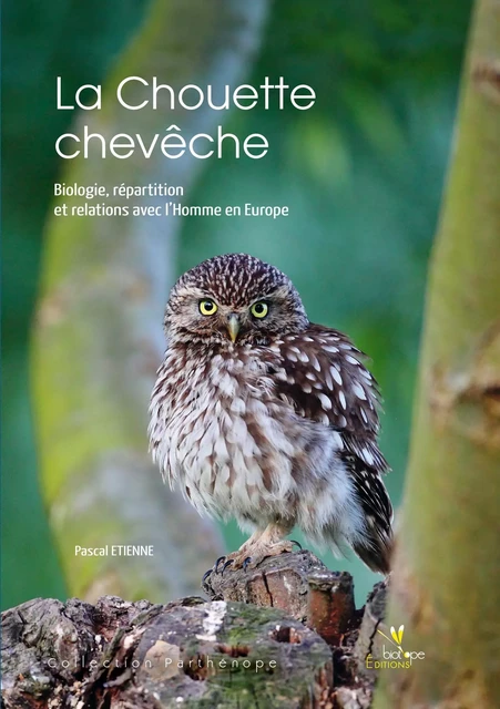 LA CHOUETTE CHEVECHE. BIOLOGIE, REPARTITION ET RELATION AVECL'HOMME EN EUROPE. - Pascal Etienne - BIOTOPE