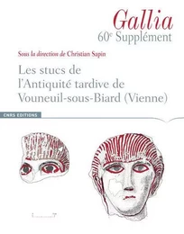 Supplément à Gallia 60 : Les stucs de l'antiquité