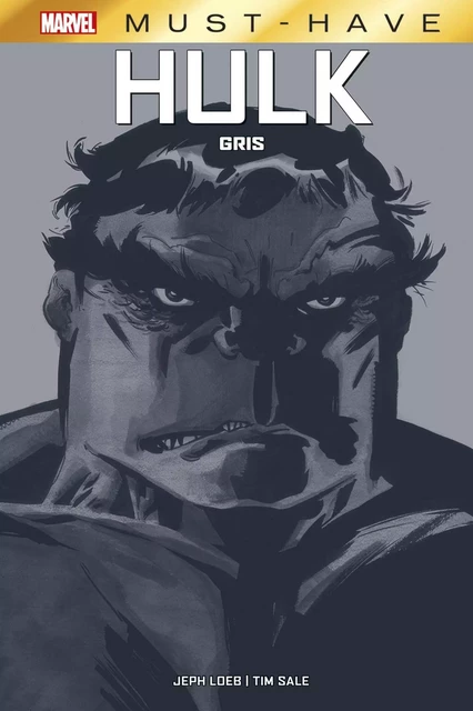 Hulk : Gris -  - PANINI