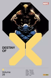 Destiny of X T28